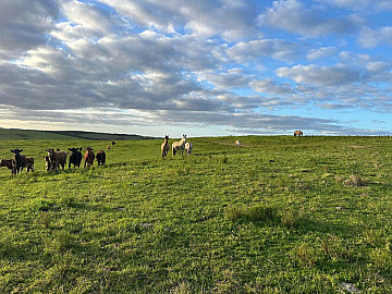 Rural � Venda
