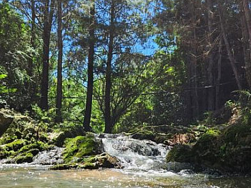 S�tio na Cascata